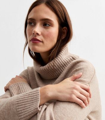 Mink Roll Neck Midi Jumper Dress