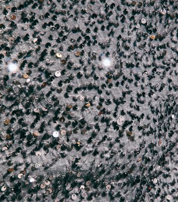 Grey Velvet Sequin Embellished T-Shirt